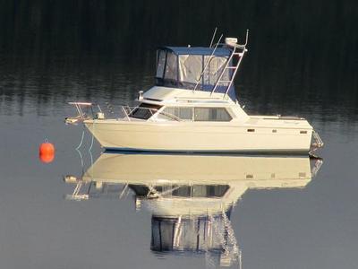 Water leaking into galley 