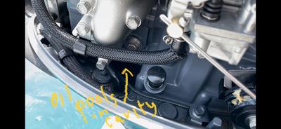 Yamaha F15SMHA oil leak